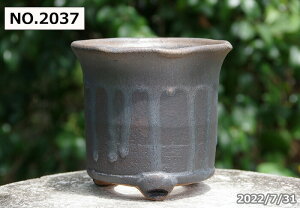 yN[|sI`11/27zMy Aؔ @Iׂ@\Ђ˂ʃr[h 4.5iOa13cm@11cmjyR쑐 A T{e ~͔ ʎc AKx 򍪐Az