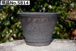 yő50%OFFN[|sIzт˂(N)@Iׂ@RQ@qϒ[ 4 TiT[rX@My Aؔ @yR쑐 A T{e ~͔ Ԗ؎ؕc ʎc A