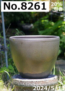 【キズ有の物には割引あり】選べる 金彩マット 11号 サナサービス 信楽焼 植木鉢【陶器 大型 屋外】【山野草鉢 多肉植物鉢 サボテン鉢 盆栽鉢 果樹苗 アガベ 塊根植物 アデニウム コーデ