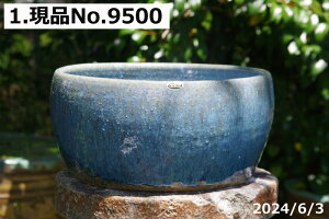 yő50%OFFN[|sIzMy @ Iׂ т˂iNj u[KX [ې 10{DȐ {_J5Ciۏؖjv[gyzyZbg 