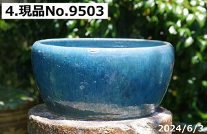 y20%OFFN[|sI`11/11zMy @ Iׂ т˂iNj u[KX [ې 10{DȐ {_J5Ciۏؖjv[gyzyZbg 