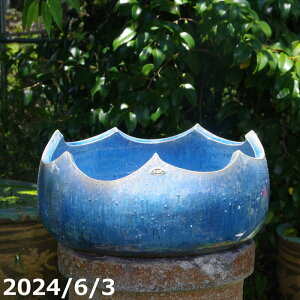 y20%OFFN[|Ώ `9/11zyi_No.9533zMy @  u[KX@g^ 12 {DȐv[g {_J5CiۏؖjyzyZbg  _J 