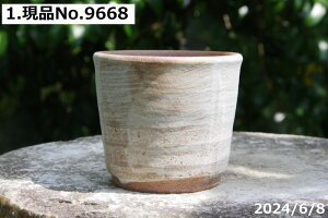 【クーポン発行中!〜10/20】信楽焼 植木鉢 陶器 選べる 白刷毛目 ミニ鉢 3号(直径9cm)【山野草鉢 多肉植物鉢 サボテン鉢 盆栽鉢 果樹苗 アガベ 塊根植物】