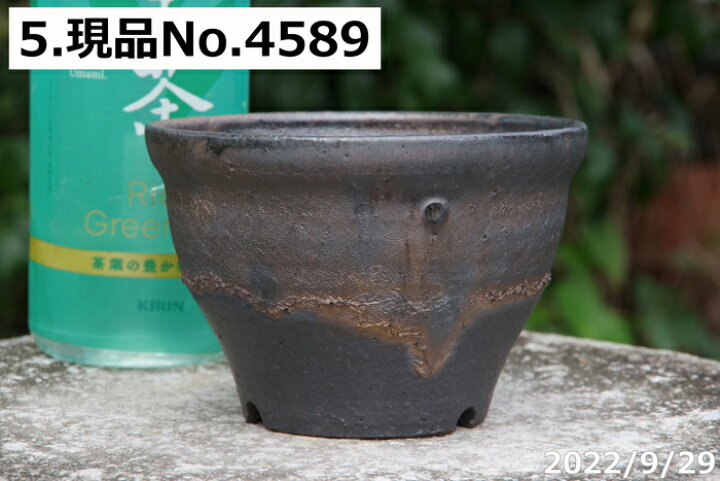 楽天市場】信楽焼 植木鉢 陶器 選べる 手びねり(ロクロ引き) 金彩