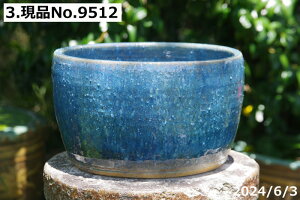 y20%OFFN[|sI`10/9zMy @ т˂iNjIׂ@u[KX@[ 9{DȐ{_J5C(ۏؖ) v[g yzyZbg  
