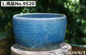 My @ т˂iNjIׂ@u[KX@[ 9{DȐ{_J5C(ۏؖ) v[g yzyZbg  _J XC rIg[v