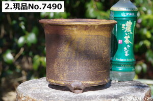 y7%OFFN[|ΏہI`12/15zMy Aؔ@Iׂ@\Ђ˂S֔ 6iOa18cm 16cmj TiT[rXyR쑐 A T{e ~͔ Ԗ؎ؕc@ʎc@AKx@