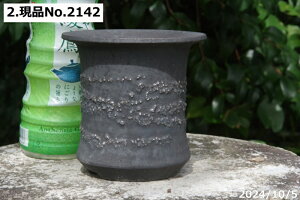 yN[|sI`11/11zMy Aؔ @т˂iNjIׂ ygp@Sց@[\(M) 4 TiT[rXyR쑐 A T{e ~͔ ʎc AK