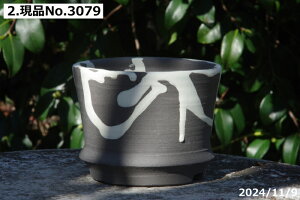 yN[|sI`11/27zMy Aؔ @т˂iNjIׂ y@tiSj3iOa9cm 7.0-7.5cmj TiT[rX yR쑐 A T{e ~͔