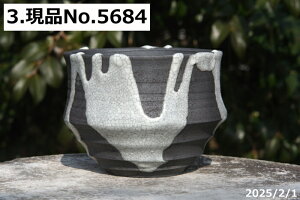 選べる 黒窯変 白マット貫入(C)4号 サナサービス 信楽焼 植木鉢 陶器 【山野草鉢 多肉植物鉢 サボテン鉢 盆栽鉢 果樹苗 アガベ 塊根植物】