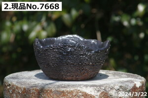 【クーポン発行中!〜10/30】選べる 平造5 黒釉 5号(高台無)サナサービス 信楽焼 植木鉢 陶器 【山野草鉢 多肉植物鉢 サボテン鉢 盆栽鉢 花木樹木苗 果樹苗 アガベ 塊根植物 珍奇植物