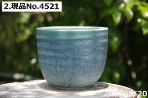 �y�ő�50%OFF�N�[�|�����s���I�z�I�ׂ�@��т˂�i���N�������j�g���R�u���[�۔� 5�� �T�i�T�[�r�X�@�M�y�� �A�ؔ� ����@�y�R�쑐�� �����A���� �T�{�e���� �~�͔� �A�K�x �򍪐A�� ����