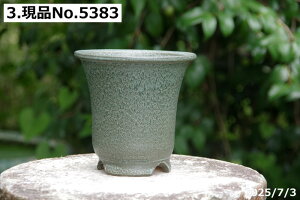 yN[|sI`11/11zIׂ@ኄiy[j  4.5iOa14.5cm 14cmj TiT[rX@My Aؔ @yR쑐 A T{e ~͔ ʎc AKx 