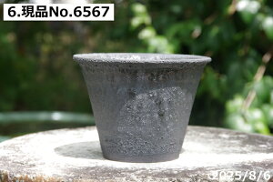 yN[|sI`11/11zт˂(N)@Iׂ@RQ@qϒ[ 4 TiT[rX@My Aؔ @yR쑐 A T{e ~͔ Ԗ؎ؕc ʎc AK