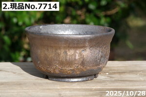 Iׂ т˂(N) ʃr[h 4iOa12.5cm 6.5cmjMy Aؔ @yR쑐 A T{e ~͔ ʎc AKx 򍪐Az