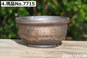 Iׂ т˂(N) ʃr[h 4iOa12.5cm 6.5cmjTiT[rX@My Aؔ @yR쑐 A T{e ~͔ ʎc AKx 򍪐Az