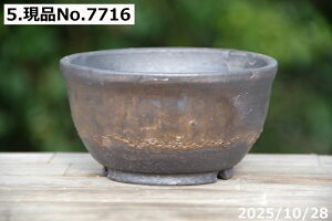 Iׂ т˂(N) ʃr[h 4iOa12.5cm 6.5cmjMy Aؔ @yR쑐 A T{e ~͔ ʎc AKx 򍪐Az