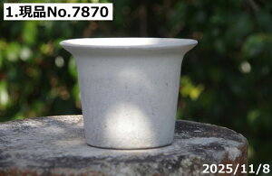 yLYL̕ɂ͊zт˂(N) Iׂ ygp փcoL(S) 4.5(Oa13.5cm 9.5cm) TiT[rX@My Aؔ @yR쑐 A T{e ~͔ 