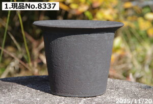 т˂(N) ygp@Iׂ@Sցiqρj|bg@4.5iOa13.0cm 10cmjTiT[rX@My Aؔ  yR쑐 A T{e ~͔ ʎc AK