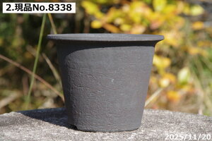 �y�ő�50%OFF�N�[�|�����s���I�z��т˂�(���N������) ���y�g�p�@�I�ׂ�@���S�ցi���q�ρj�����|�b�g�@4.5���i�O�a13.0cm ����10cm�j�T�i�T�[�r�X�@�M�y�� �A�ؔ� ���� �y�R�쑐�� �����A���� 