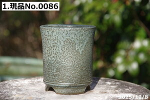 �y�ő�50%OFF�N�[�|�����s���I�z�I�ׂ�@�ؗ����� 3.5���i�O�a11cm ����11cm�j�T�i�T�[�r�X �M�y�� �A�ؔ� ����y�R�쑐�� �����A���� �T�{�e���� �~�͔� �ʎ��c �A�K�x �򍪐A���z