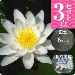y20%OFFN[|Ώ `9/11zуXC@ԃXC@uAov(^)@3_Zbgyc{cy6L{܂t1.5L{엿zyAEtAzy@Ez