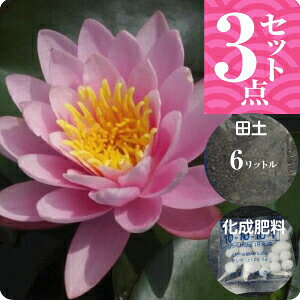 y20%OFFN[|Ώ `9/11zуXC@уXCut~Av(^)@3_Zbgyc{cy6L{܂t1.5L{엿zyAEtAzy@Ez