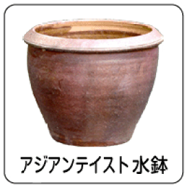 楽天市場】常滑焼 植木鉢 柴勝 縁付ツマミ足 3号（外径9cm 高さ7cm