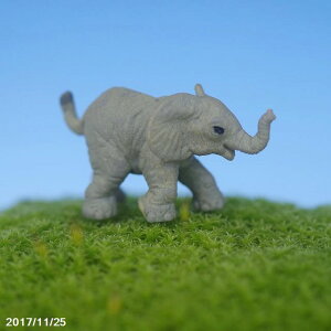 ۂ̃tBMA@]E y ۖ~ eE roE ۃeE RP  zylR|XΉisjz