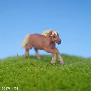 ۂ̃tBMA@E} y ۖ~ eE roE ۃeE RP  zylR|XΉisjz