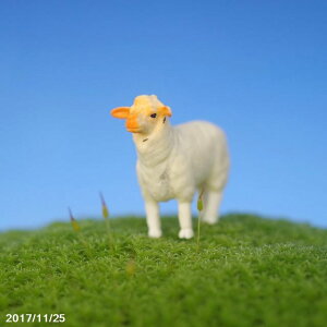 ۂ̃tBMA@qcW y ۖ~ eE roE ۃeE RP  zylR|XΉisjz