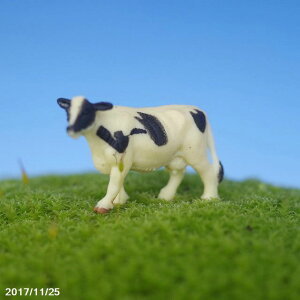 ۂ̃tBMA@EV y ۖ~ eE roE ۃeE RP  zylR|XΉisjz