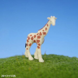 ۂ̃tBMA@L y ۖ~ eE roE ۃeE RP  zylR|XΉisjz