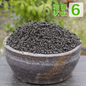 楽天市場 姫睡蓮の通販 楽天市場 姫睡蓮の通販