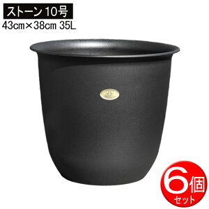 yz Xg[Jo[10 1(6) (a43cm e35LjyzyAؔ ^ vX`bN v yzy[J[ s ԎwszyJo[ v^[Jo[z