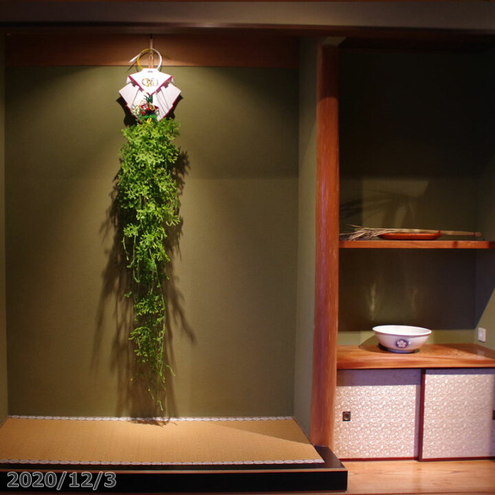 楽天市場 本格的な掛蓬莱 京の雅 小 ヒカゲノカズラ 熨斗飾り付き 1 5m 6本使用 正月飾り 材料 床飾り 蓬莱飾り 宝来飾り 掛蓬莱 掛け 蓬莱 クリスマス 手作り 新年 和風 縁起物 神事 生花 切り花 切花 花材 玄関 シダ 日陰蔓 送料無料 石田精華
