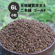 元祖硬質赤玉土　二本線　小粒　6L　【盆栽の土・クリスマスローズの土・福寿草の土・ボタン、シャクヤク…
