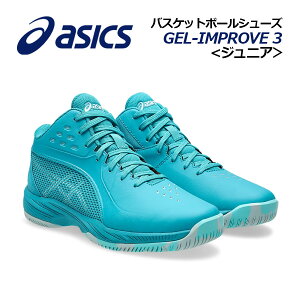 y2025H~ VFzAVbNXyASICSzWjA oXPbg{[V[Y GEL-IMPROVE 3 GS / Q Cv[u 3 GS 1064A018 300 (qp/w/oXPbg{[pi/oXPpi/oXPV[Y/o