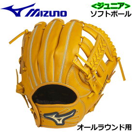 楽天市場 子供 ソフトボール グローブの通販