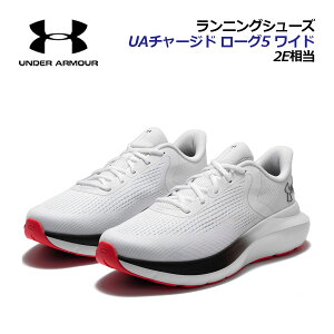 y2025 H~zA_[A[}[yUNDER ARMOURzY jOV[Y UA`[Wh [O5 Ch 3028255 100 (jp/2E/Ch EBY/㋣Z/AX[g/i[//g[j