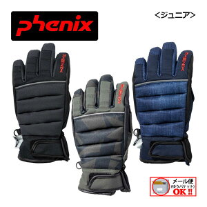 y1_܂Ń[։z tFjbNX yPHENIXz WjA APD 5{w {[CY O[u ESB22GL10 XL[O[u XL[ (XL[Ou/qp/w/LbY/h/z)