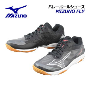 �~�Y�m �yMIZUNO�z �o���[�{�[���V���[�Y �~�Y�m�t���C / MIZUNO FLY V1GA2330 01 (���j�Z�b�N�X/�����Y/���f�B�[�X/2E����/�o���[�{�[���p�i/�o���[�p�i/�o���[�V���[�Y/����)