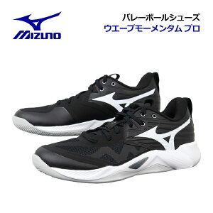 y2025 H~z~YmyMIZUNOzo[{[V[Y EG[u[^ v / WAVE MOMENTUM PRO V1GA2540 54 (jZbNX/Y/fB[X/2E̕/o[{[pi/o[pi/o[