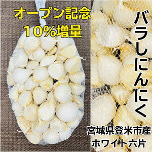 ɂɂ {錧oĎsY 󂠂oy250gC300g,400gC500gz