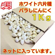 にんにく 宮城県登米市産 訳ありバラ【1kg】