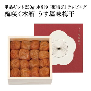 yMtgZbgz~炭ؔ ~ PiMtg 250g u~сvbsO~ ~ ΐ_W ΐ_ 썂~ Ε Mtg v[g  j j o  