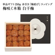 【ギフトセット】梅咲く木箱 白干梅 単品ギフト 250g 水引き「梅結び」ラッピング梅干し 梅干 漬物 石神…