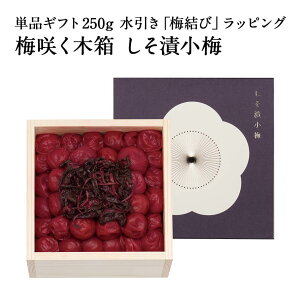 MtgZbg ~炭ؔ Џ~PiMtg 250g u~сvbsO~ ~ Е ΐ_W IB 썂~ Ε lߍ킹 v[g  j o  @v T
