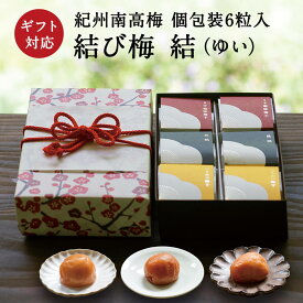 お歳暮、ギフトに。 結び梅 結（ゆい） 個包装6粒入【紀州南高梅】 梅干し 梅干 漬物 石神邑 紀州 南高梅 お中元 お歳暮 ギフト プレゼント お取り寄せ お年賀 内祝 引出物 弔事 法要 香典返し お返し プチギフト 個包装 小分け おしゃれ かわいい