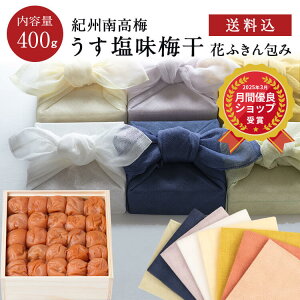 ΕAMtgɁByz~ [8] ؔ 400g Ԃӂ ~ ~ Е ΐ_W IB 썂~  Ε lߍ킹 v[g  j o  @v 
